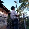 arya.saputra3194