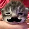 amoasnoppy1