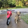 jakereddirtbike1