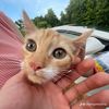 leroy_s
