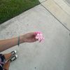 lyndzey_13