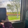 paisleywaisley4