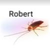 maydaycockroach