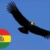 cndor.bolivia