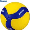volleyballking580