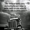 luis.flores3545