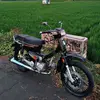 primadon51