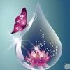 maram.amira98