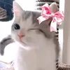 mika_brwn