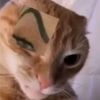 trey_jembod