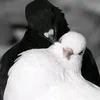 rtyuhk87