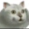 mzzaer