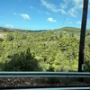 antbadgh