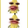 pikahasann2
