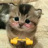 waffiiiey