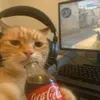 tobyfnsf