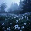 _blueyeew_