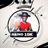 raino206