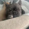 livvvx64