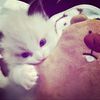 4uliaaaww3