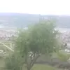 kegkdyjckg