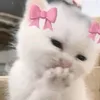 gurly210
