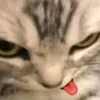 ngodinhanh3