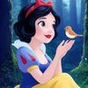 hagar.refaay