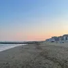 _nele_42