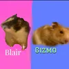 wildlife_hamster