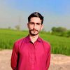 muhammad.ibrahim8868