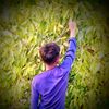 lk.kawser._m