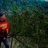 m.fatur.rohim