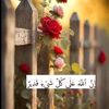 user2355377362210