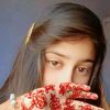 sindhigirl158