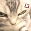 cimi_9