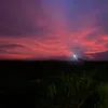 uzyy_por