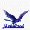 mohamedmohamed123.82.2