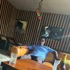 svibes05