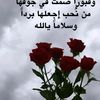 aseer.alsamt87