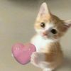 t0tallynotyou0