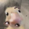 keyle_koeln