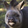 aisenga0