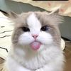 cimww_j