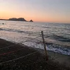 mariapia1020