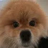 mrkociarz