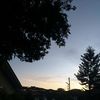 haniv_14