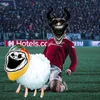 memesommak4