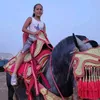 hamoudagouchihotm0