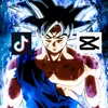 user5554841741082